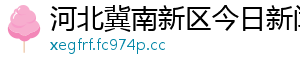 河北冀南新区今日新闻网